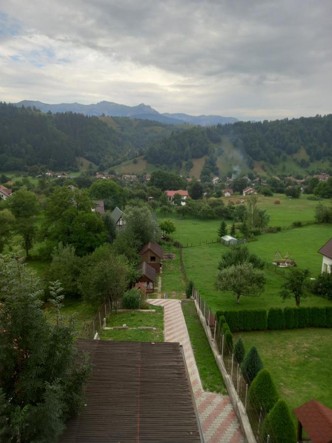 Pensiunea Brian Moieciu de Jos Buitenkant foto