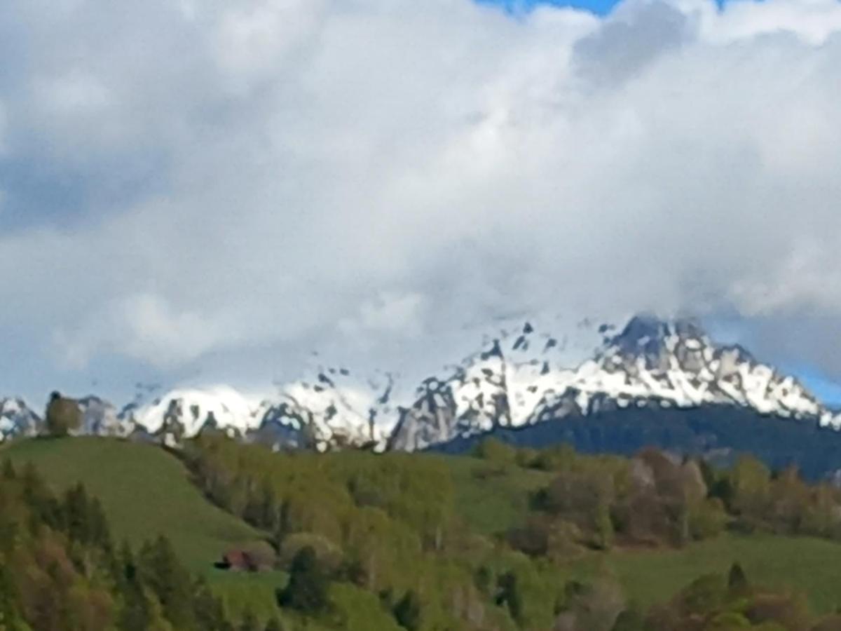 Pensiunea Brian Moieciu de Jos Buitenkant foto